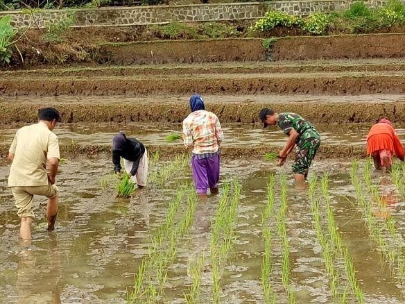 Pembangunan Bendungan dan Embung demi Menjamin Ketersediaan Air Petani