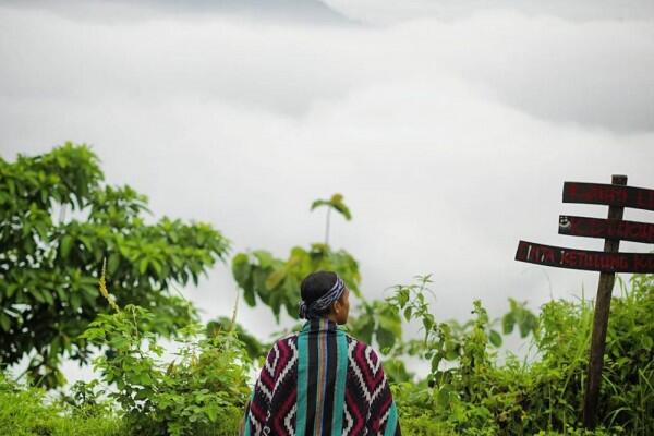 6 Potret Bukit Banyon, Negeri di Atas Awan Milik Trenggalek