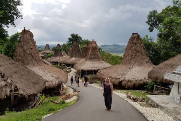 10 Alasan Pilih Kampung Prai Ijing sebagai Tujuan Wisata Budaya Sumba