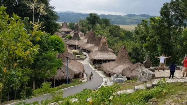10 Alasan Pilih Kampung Prai Ijing sebagai Tujuan Wisata Budaya Sumba