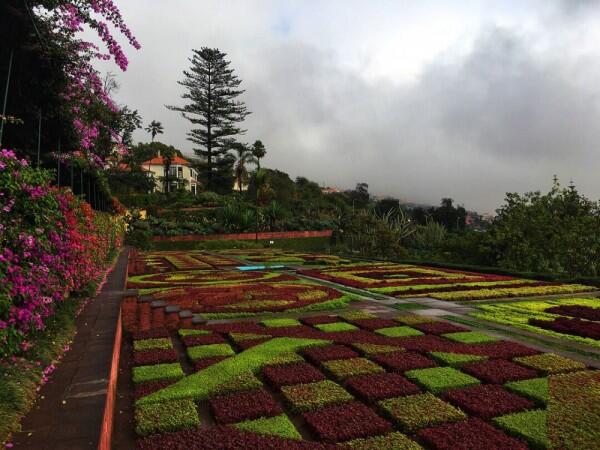 6 Tempat Wisata Alam di Pulau Madeira, Portugal yang Eksotis