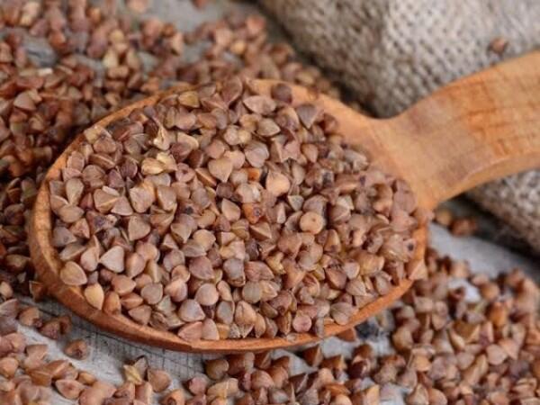 Terkenal Sebagai Bahan Baku Soba, Ini 10 Manfaat Gandum Kuda