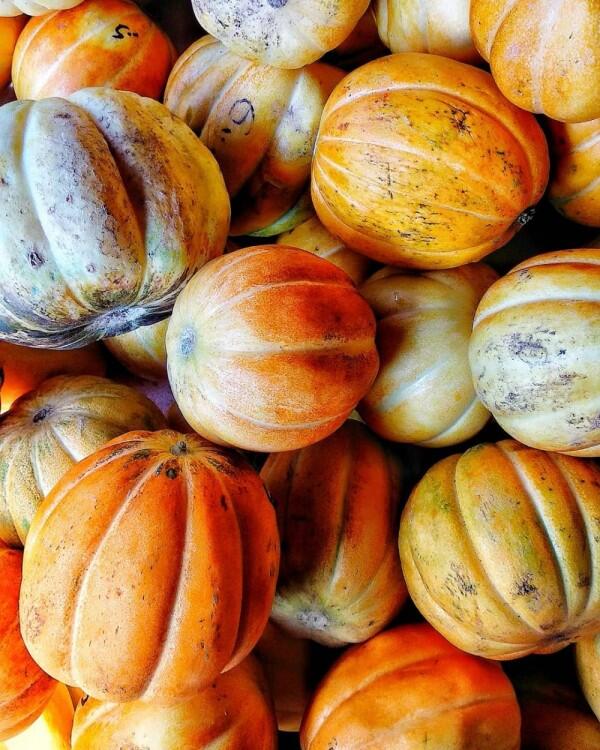 5 Tips Memilih Buah Blewah yang Segar untuk Buka Puasa