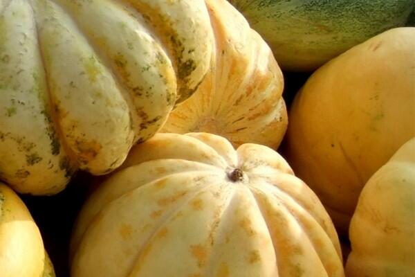 5 Tips Memilih Buah Blewah yang Segar untuk Buka Puasa