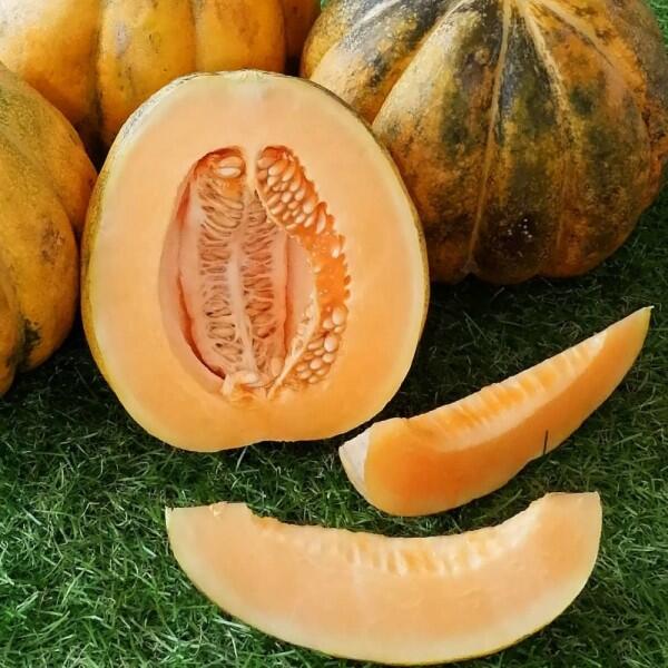 5 Tips Memilih Buah Blewah yang Segar untuk Buka Puasa