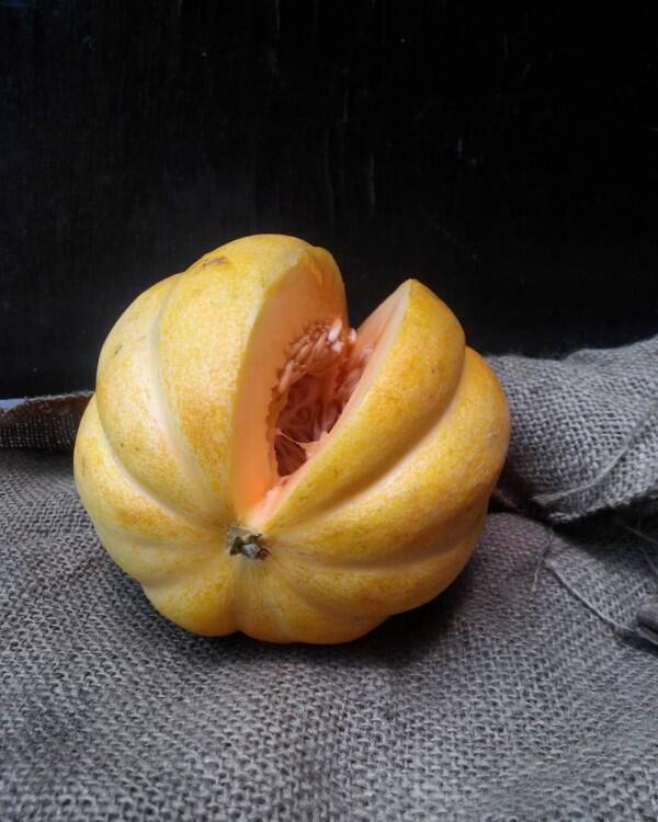 5 Tips Memilih Buah Blewah yang Segar untuk Buka Puasa
