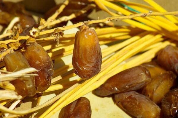 Jadi Primadona Saat Ramadan, Ini 5 Manfaat Kurma bagi Kecantikan