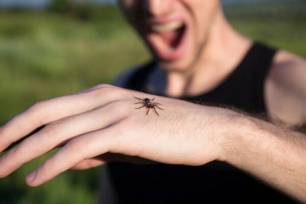 Kamu yang Arachnofobia Pasti Merinding Berat Lihat 10 Foto Ini