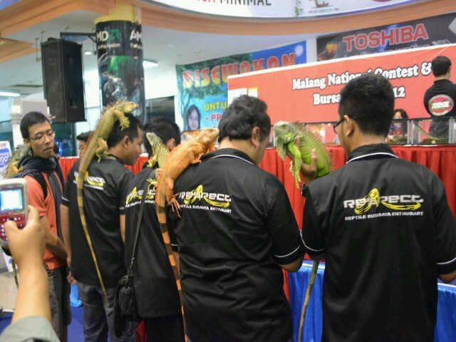 Komunitas Unik Pecinta Binatang, Reptile dan Serangga di Surabaya