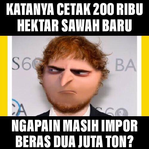 Katanya Cetak 200 Ribu Hektar Sawah Baru, Tapi Kok Impor Beras 2 Juta Ton?