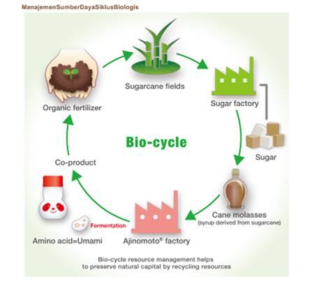 Kata Ahli soal Mempertahankan Ketahanan Pangan
