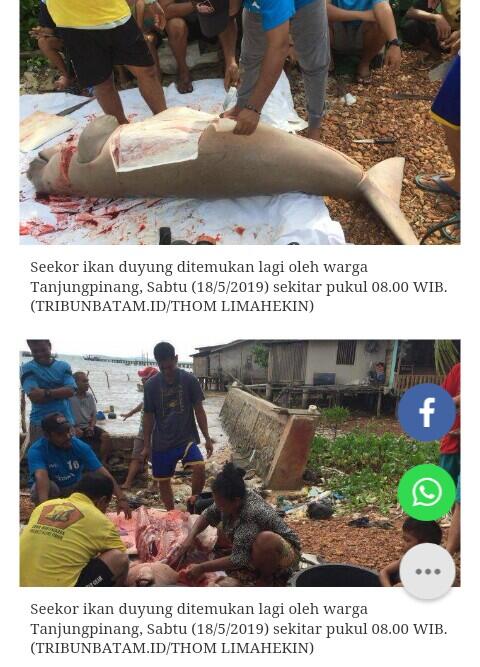 Potong Tubuh Putri Duyung Lalu Dimasak, Warga Dompak Tanjungpinang DIperiksa Polisi

