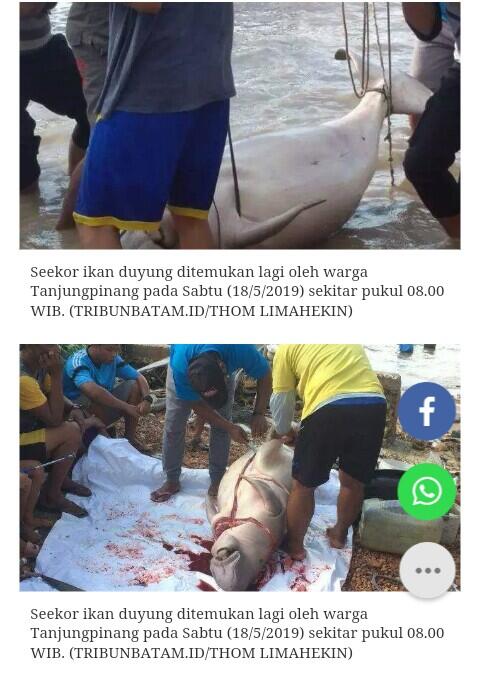 Potong Tubuh Putri Duyung Lalu Dimasak, Warga Dompak Tanjungpinang DIperiksa Polisi

