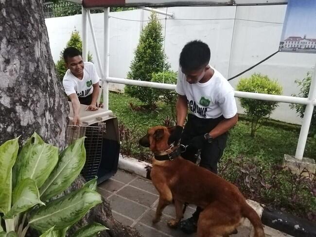 Hendropriyono Pamer Anjing, Siap Pinjamkan Jika Aksi 22 Mei Brutal