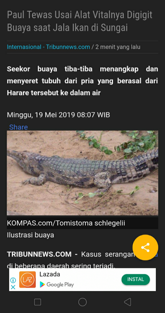 Buaya Oh Buaya