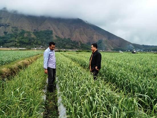 Kementan Libatkan Perbankan Kejar Target Swasembada Bawang Putih