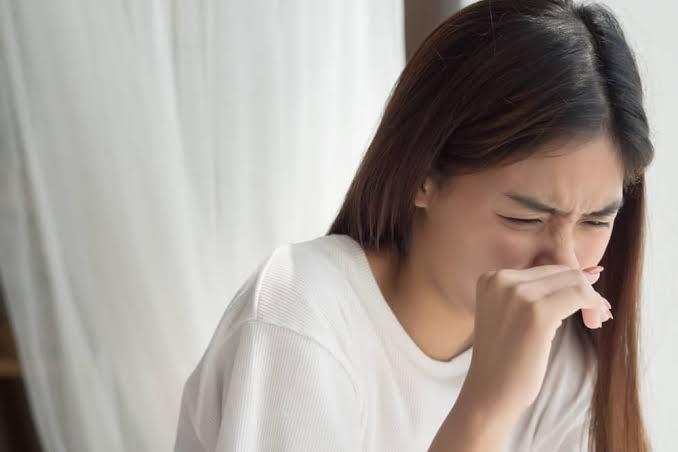 Hidung Kok Bisa Hafal Berbagai Macam Bau !! Gimana Caranya? 