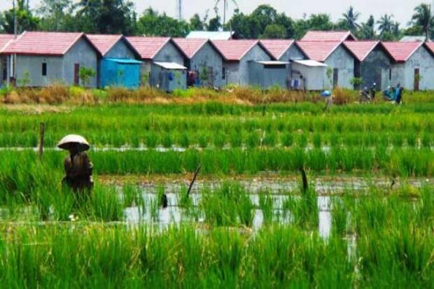 Kementan Imbau Daerah Pertahankan Sawah Atau DAK Pertanian Ditinjau Ulang