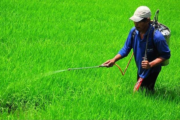 Kementan Tindak Tegas Pelanggaran Pupuk dan Pestisida