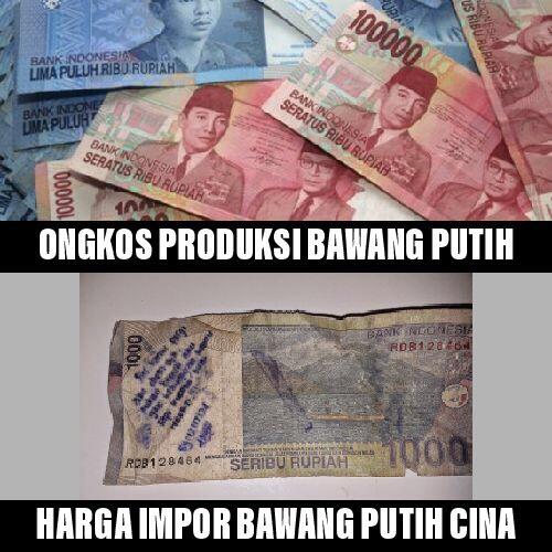Kementan Terlalu Pede Swasembada Bawang Putih 2021 Bisa On Track