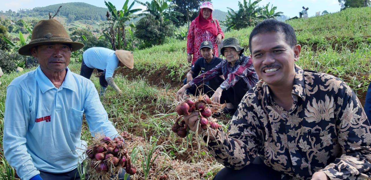 Jamin Pasokan, Kementan Dorong Sistem Tumpang Sari Bawang Merah-Bawang Putih