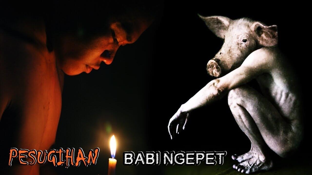 Misteri Pesugihan Babi Ngepet