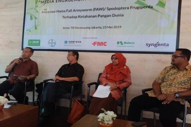 Mulai Masuk Indonesia, Hama Ulat FAW Rugikan Petani Kecil