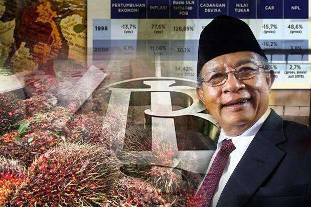 Darmin: Pemanfaatan Novel Algae Jadi Solusi Limbah Industri Sawit