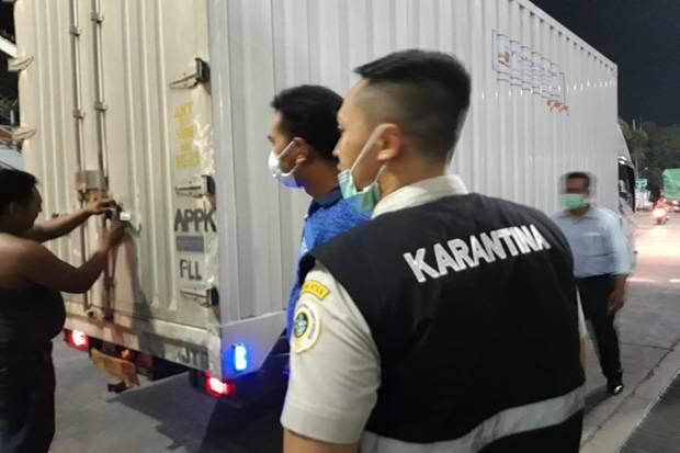 Jelang Lebaran, BKP Cegah Daging Celeng Masuk ke Pulau Jawa