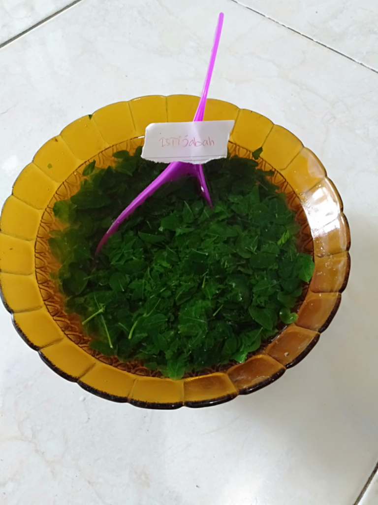 &#91;COCooking2019&#93; Masakan Kampung Yang Kaya Manfaat