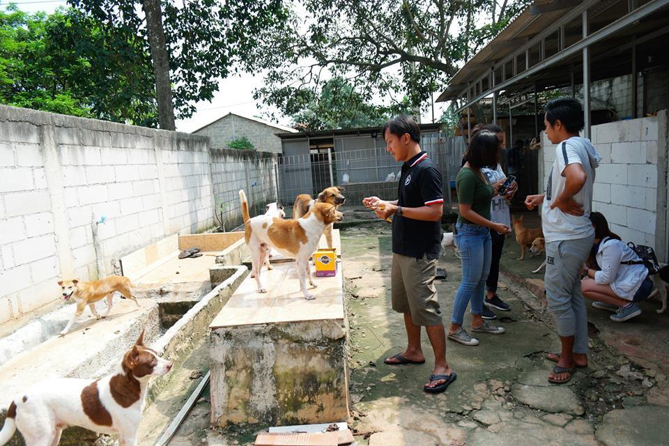 TOP 20 KOMPAK: Jakarta Dog Lovers