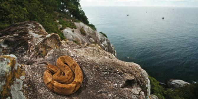 5 Pulau Paling Berhantu, Salah Satunya Ada Di Indonesia?