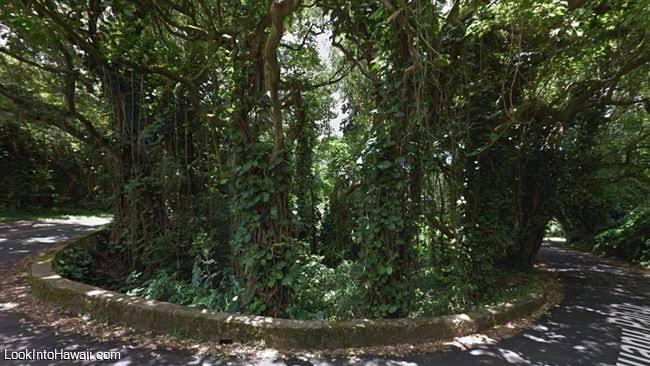 5 Pulau Paling Berhantu, Salah Satunya Ada Di Indonesia?