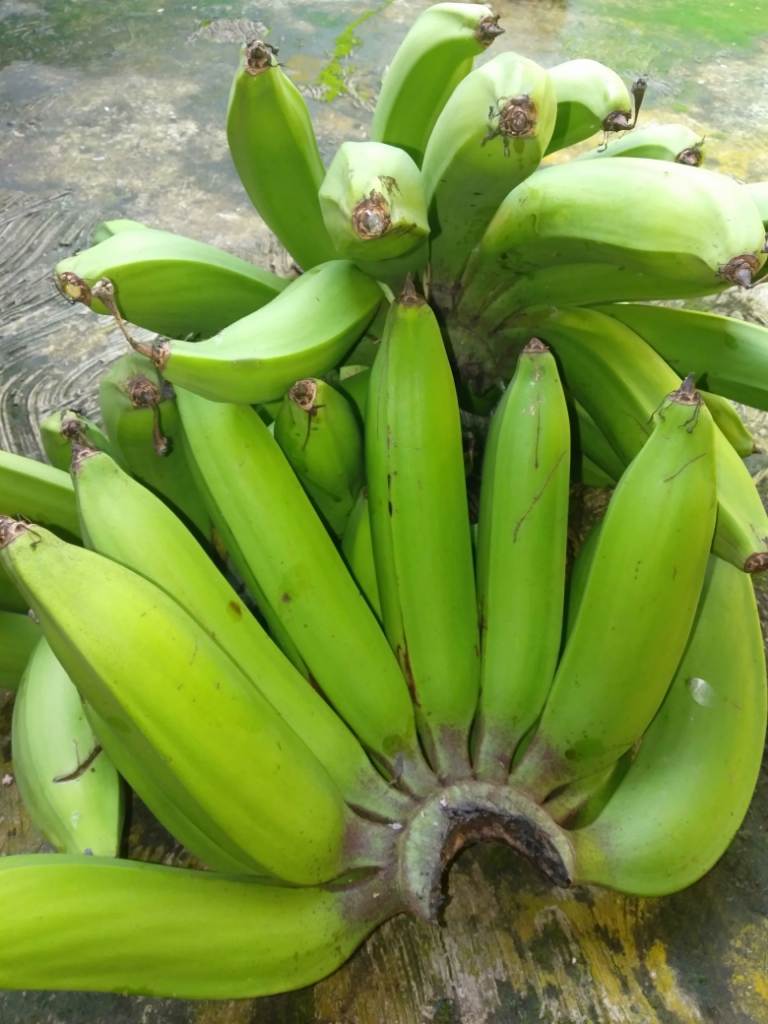 Kripik Pisang Madu, Cemilan Mantap Di Hari Raya