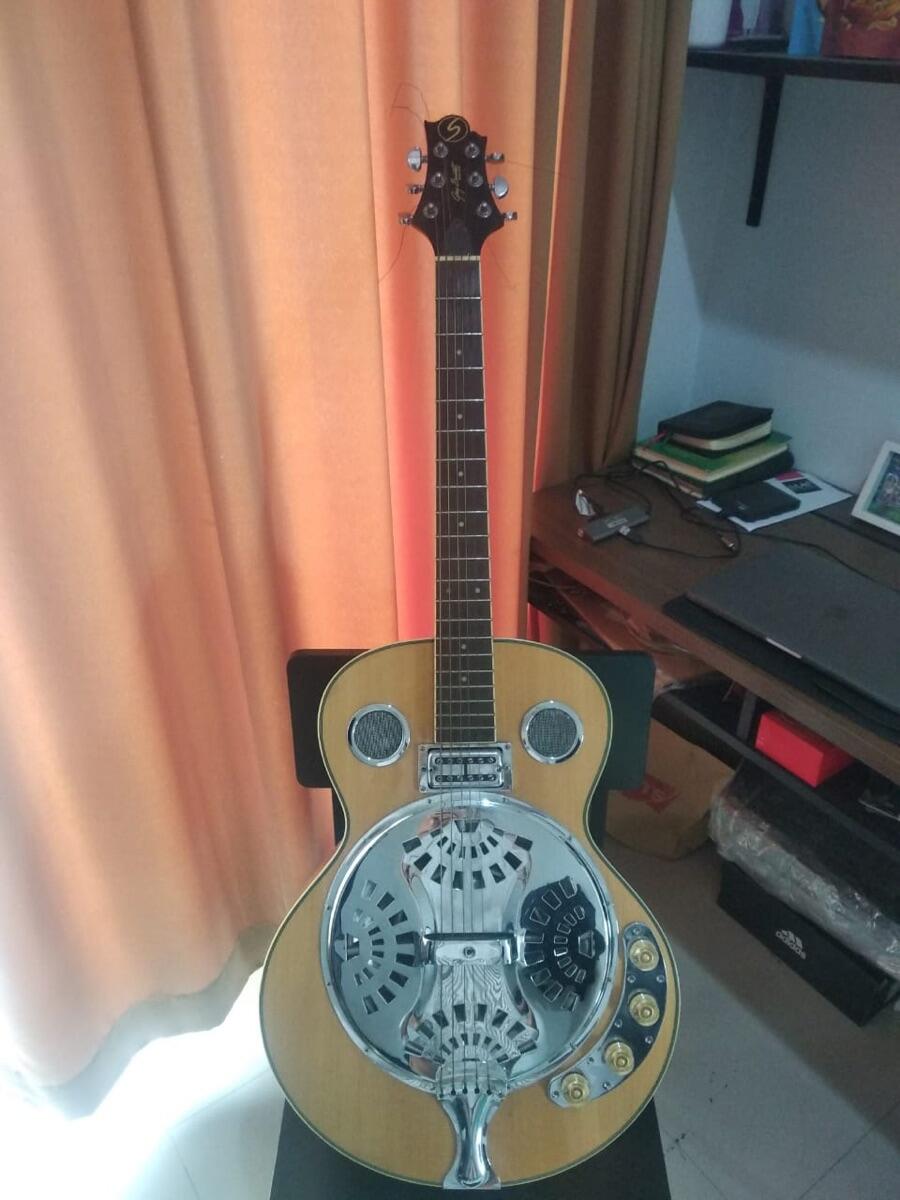 greg bennett resonator guitar