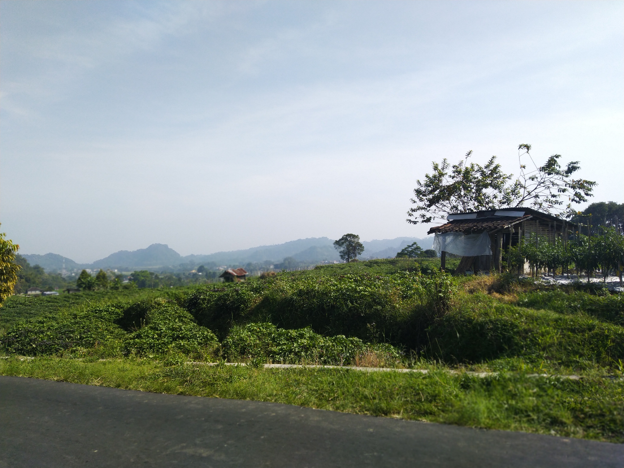 Pengalaman Mudik dengan dana yang minim bareng Pemerintah