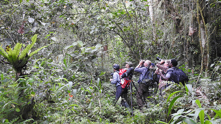 Yuk Kenalan Sama Birdwatching..