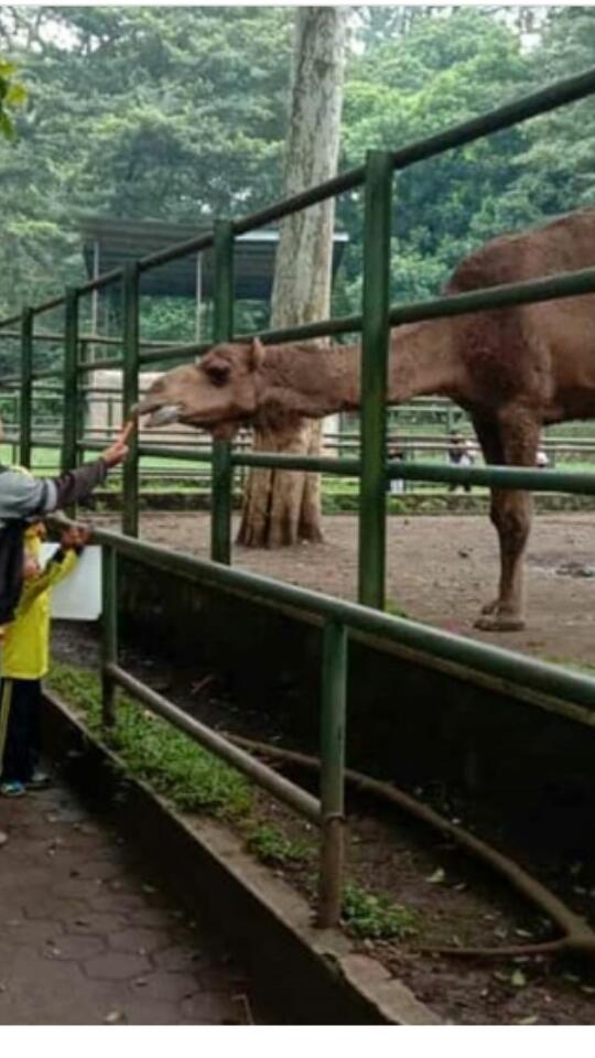 5 Jenis Tempat Wisata Yang Ramai Pengunjung Pasca Lebaran