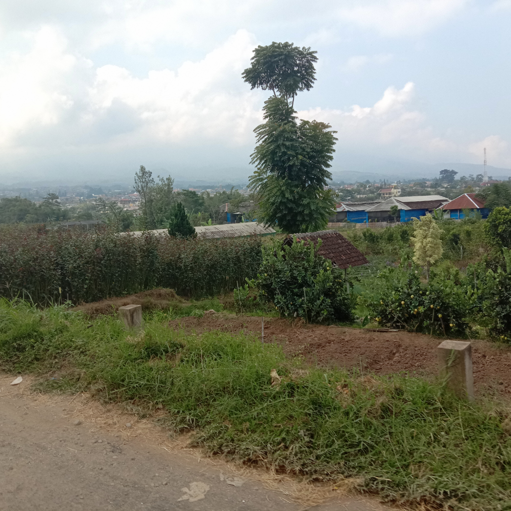 Mudik Tersingkat dan Terdekat Saya Bersama Keluarga Kecil