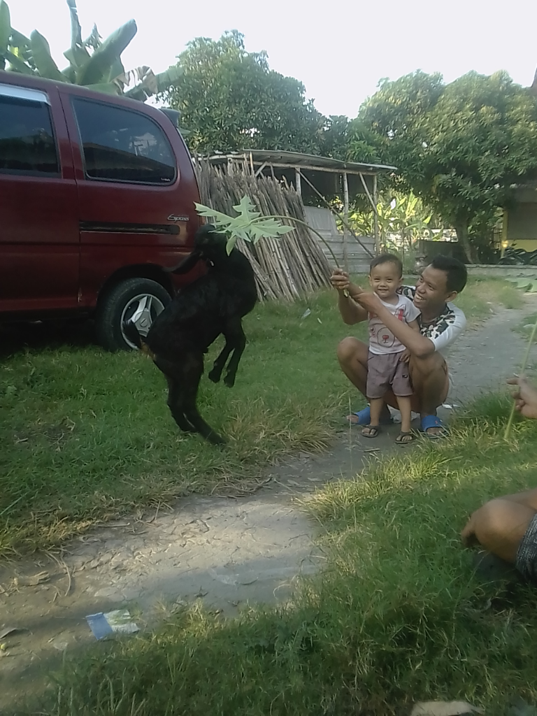 Berbagi Kebaikan dan Ambil Pelajaran Berharga Saat Mudik yuk