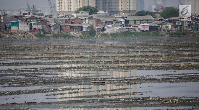 Waduk Pluit Semakin Dangkal, Penuh Lumpur dan Berbau