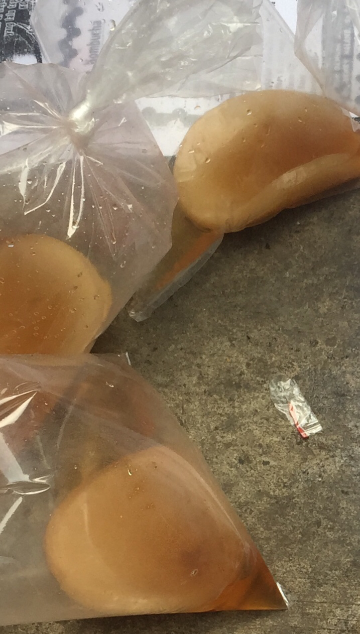 Misteri Kombucha sebagai Ramuan Hidup