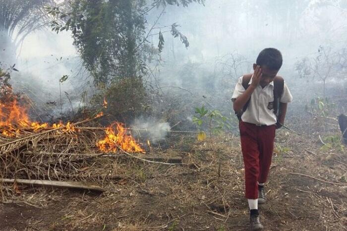 Rincian Mitigasi yang Harus Dilakukan Untuk Mencegah Bencana Terulang