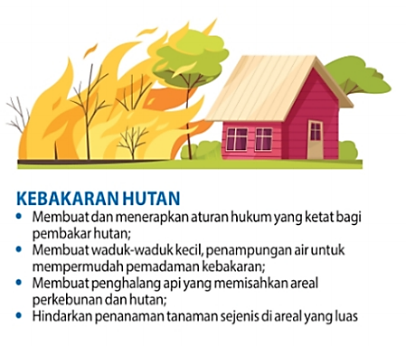 Rincian Mitigasi yang Harus Dilakukan Untuk Mencegah Bencana Terulang