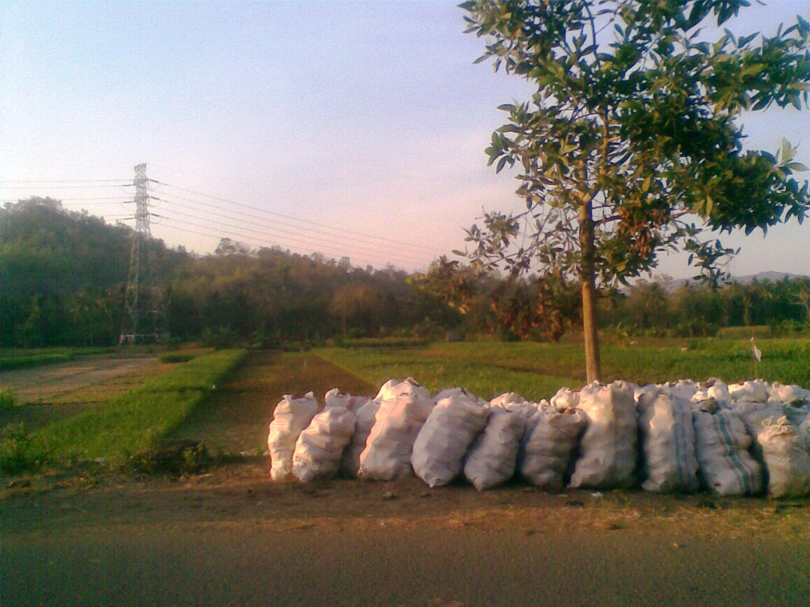 Mudik 2019 Ke Pacitan