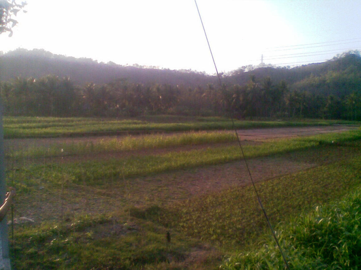 Mudik 2019 Ke Pacitan