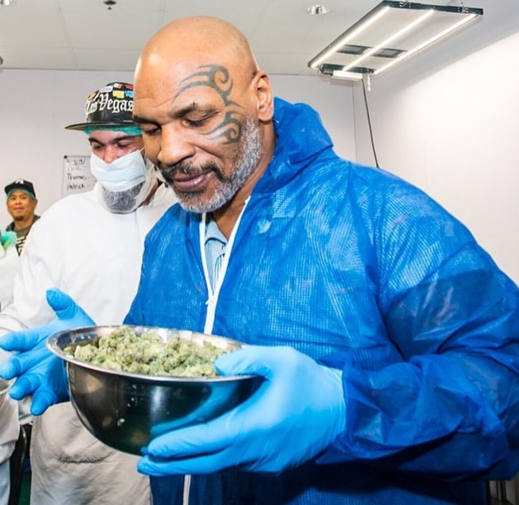 Lama Tak Ada Berita, Mike Tyson Kini Berbisnis Ganja