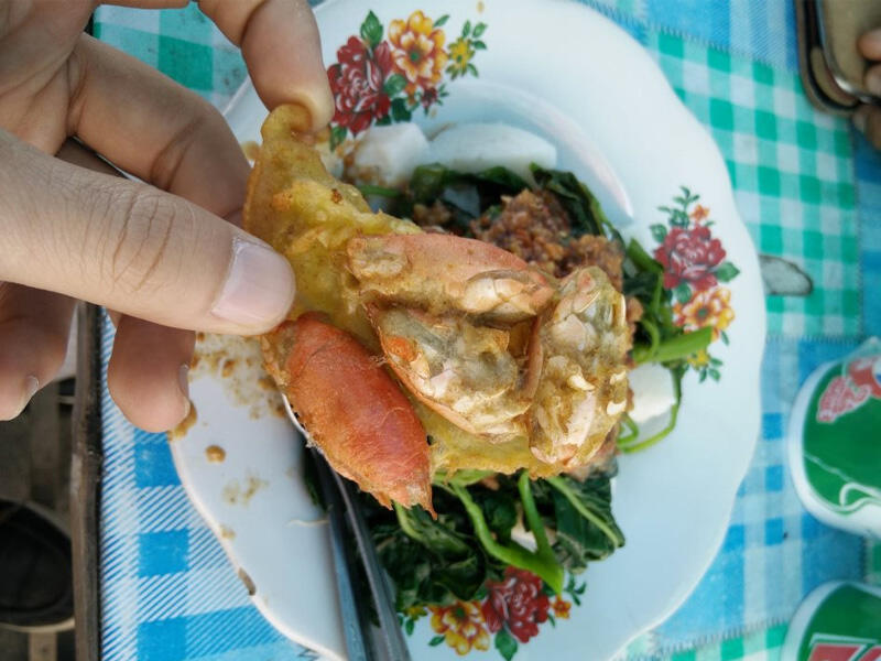 Mudik 2019 Ke Kampung Halaman Mamah
