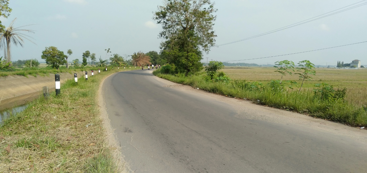 Misteri Tikungan Sribusak