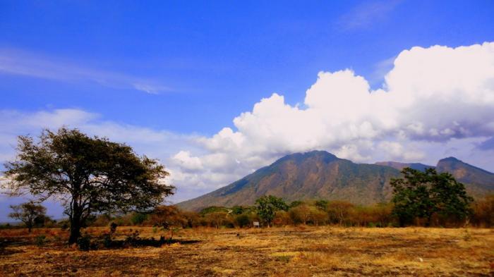 Mistis Jurang Tangis, Hutan Baluran!